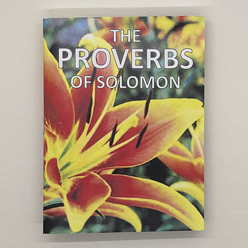 223 The Proverbs of Solomon 
